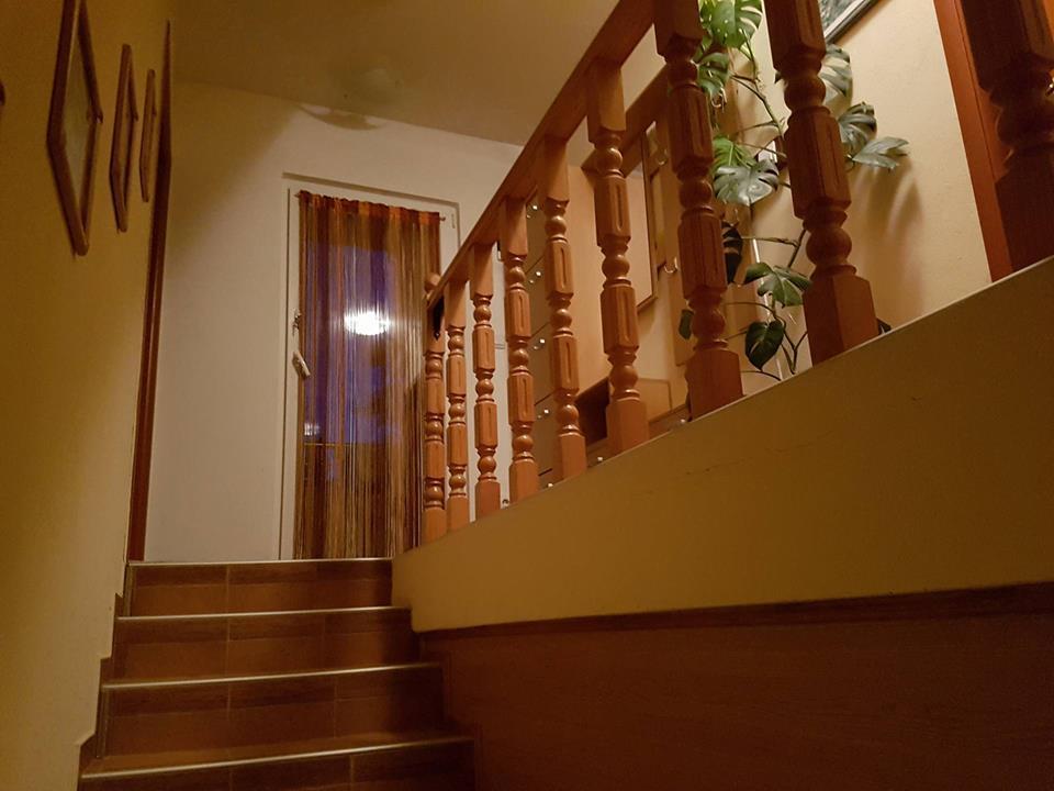 Apartment Panorama 科托尔 外观 照片
