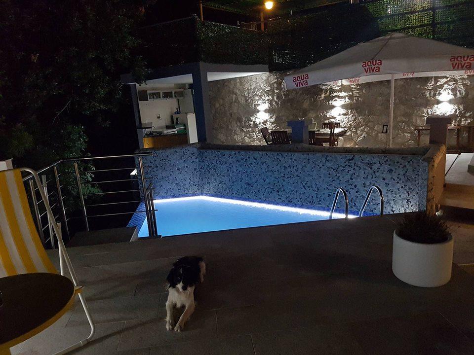 Apartment Panorama 科托尔 外观 照片